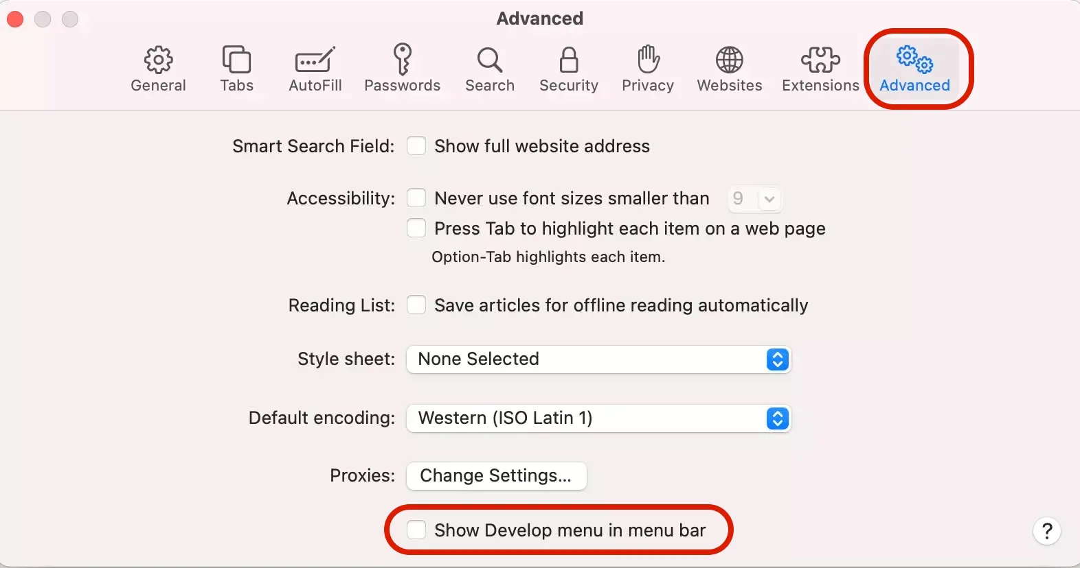Safari Preferences: Show Develop menu